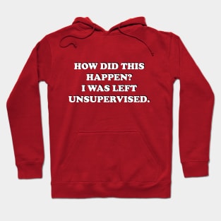 How Did This Happen? I Was Left Unsupervised. Hoodie